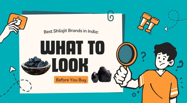 Best Shilajit Brands in India: What to Look Before You Buy
