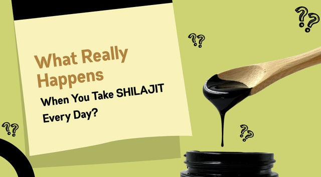 What Really Happens When You Take Shilajit Every Day?