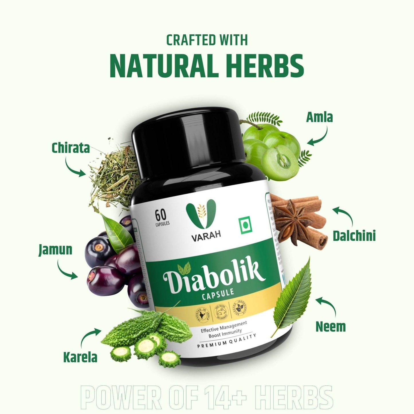 Diabolik Sugar Care Capsules | 60 Capsules - VARAH HEALTHCARE