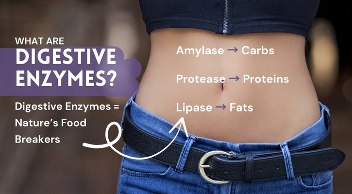 What Are Herbal Enzyme Capsules and How Do They Support Digestion?