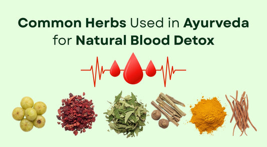 Common Herbs Used in Ayurveda for Natural Blood Detox
