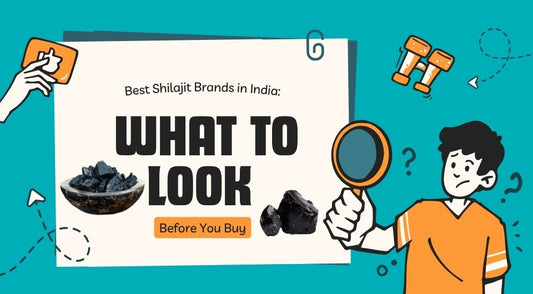 Best Shilajit Brands in India: What to Look Before You Buy