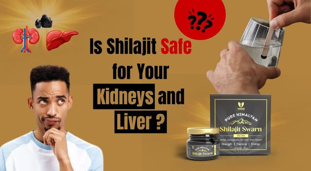 Is Shilajit Safe for Your Kidneys and Liver