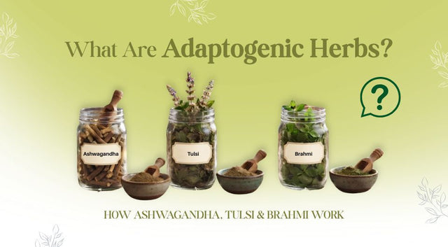 What Are Adaptogenic Herbs