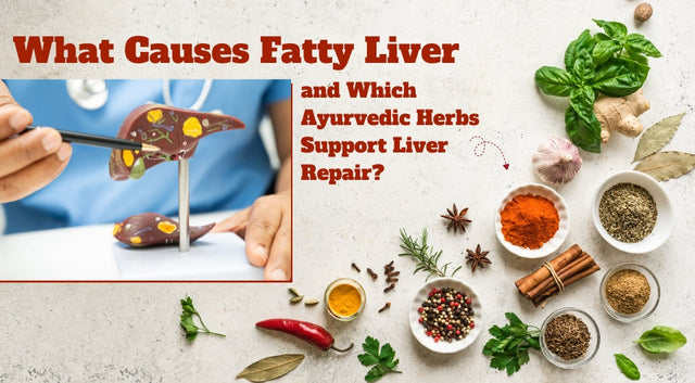 What Causes Fatty Liver and Which Ayurvedic Herbs Support Liver Repair