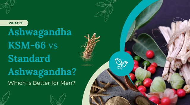 What is Ashwagandha KSM-66 vs Standard Ashwagandha