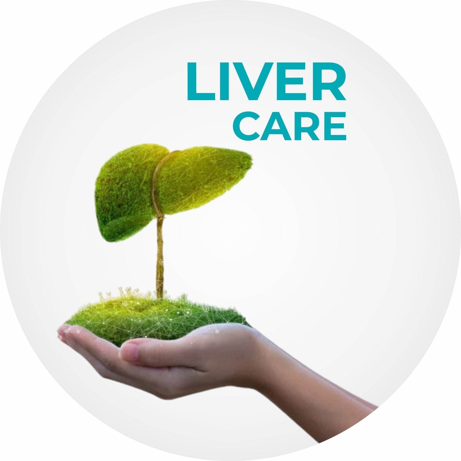 Liver Health