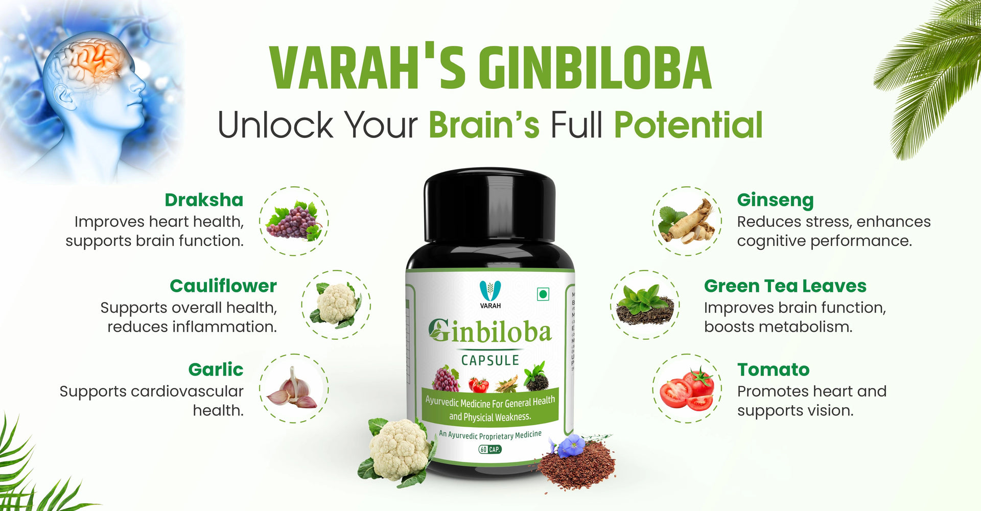 Ginbiloba banner 