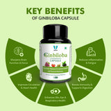 Varah’s Ginbiloba | 60 Capsules - VARAH HEALTHCARE